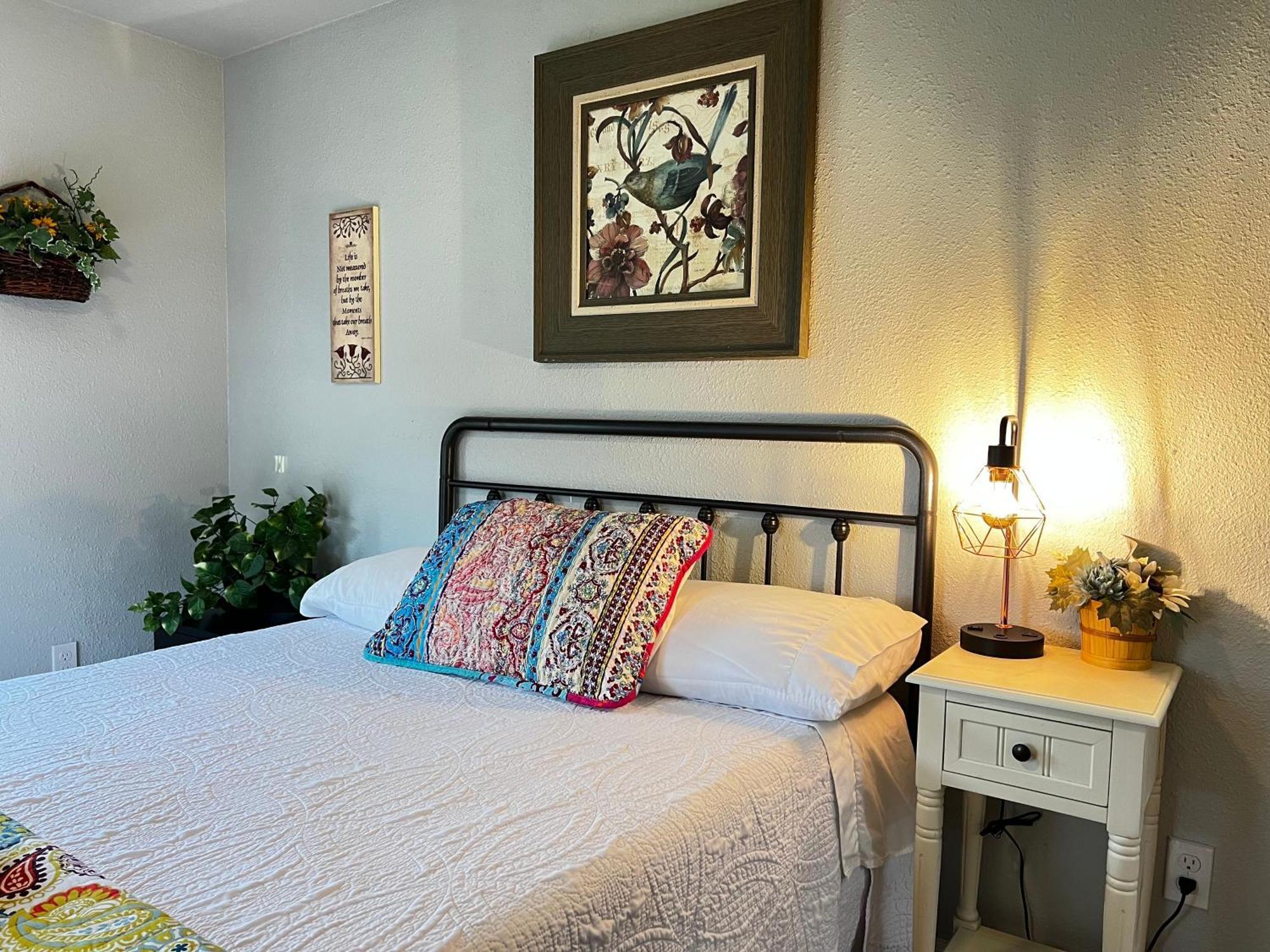 Boho Bliss- Cozy Private Room 2 Miles From Alamodome! 圣安东尼奥 外观 照片